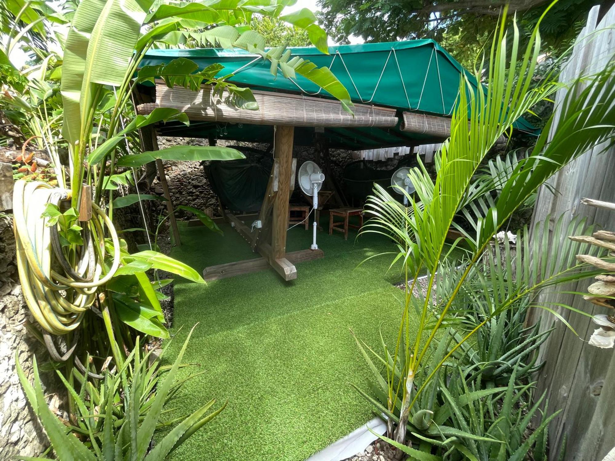 Les Hamacs Aux Saintes Hotel Terre-De-Haut Bagian luar foto